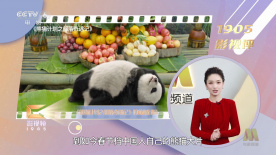 久久免费高清